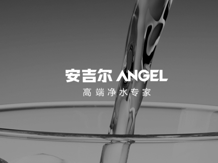 網(wǎng)站建設(shè)案例:安吉爾. 網(wǎng)站建設(shè)案例:安吉爾.jpg