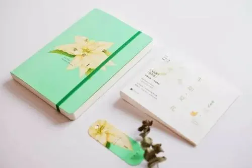 4-230619164H9A7. 4-230619164H9A7.png